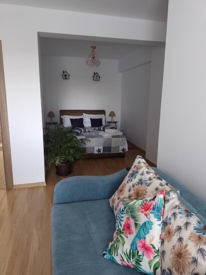 Sunny Blue Studio Năvodari المظهر الخارجي الصورة